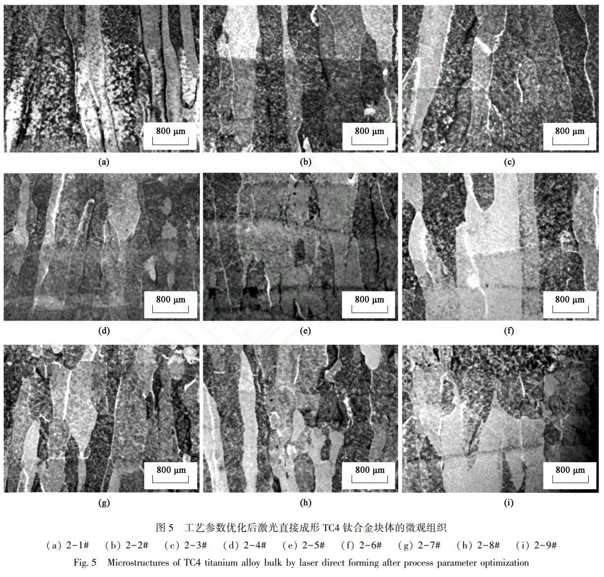 面向近凈成形的TC4鈦合金激光直接成形：激光功率-掃描速度-送粉量對(duì)單道幾何特征及塊體冶金質(zhì)量的影響