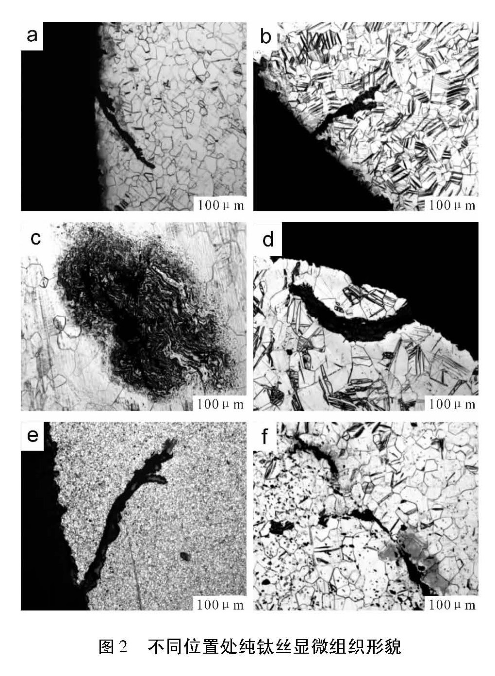 1614490221766066.jpg a4.jpg