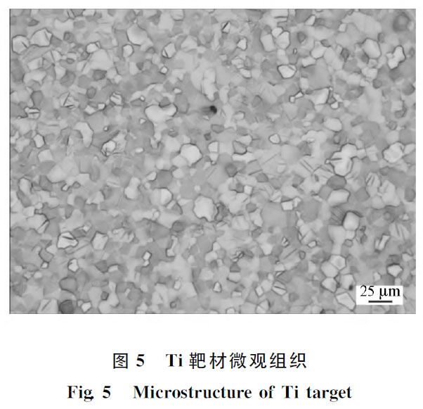 1672492236757164.jpg t5.jpg