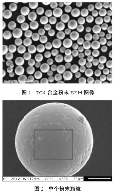 1686235573350472.jpg t1-2.jpg