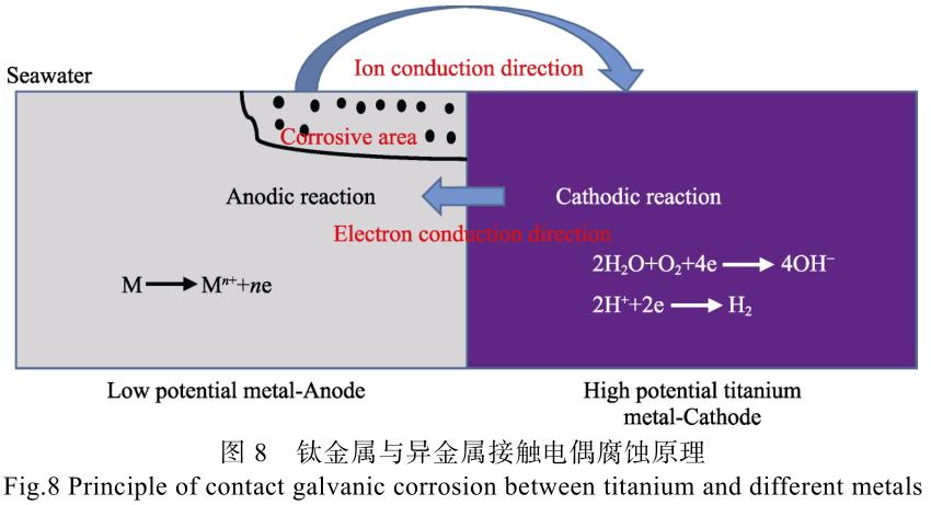 1692885171618802.jpg t8.jpg