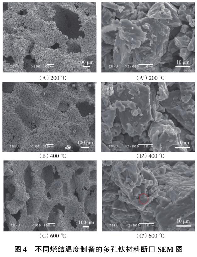 1706104781927928.jpg t4.jpg