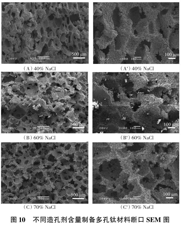 1706104854658272.jpg t10.jpg