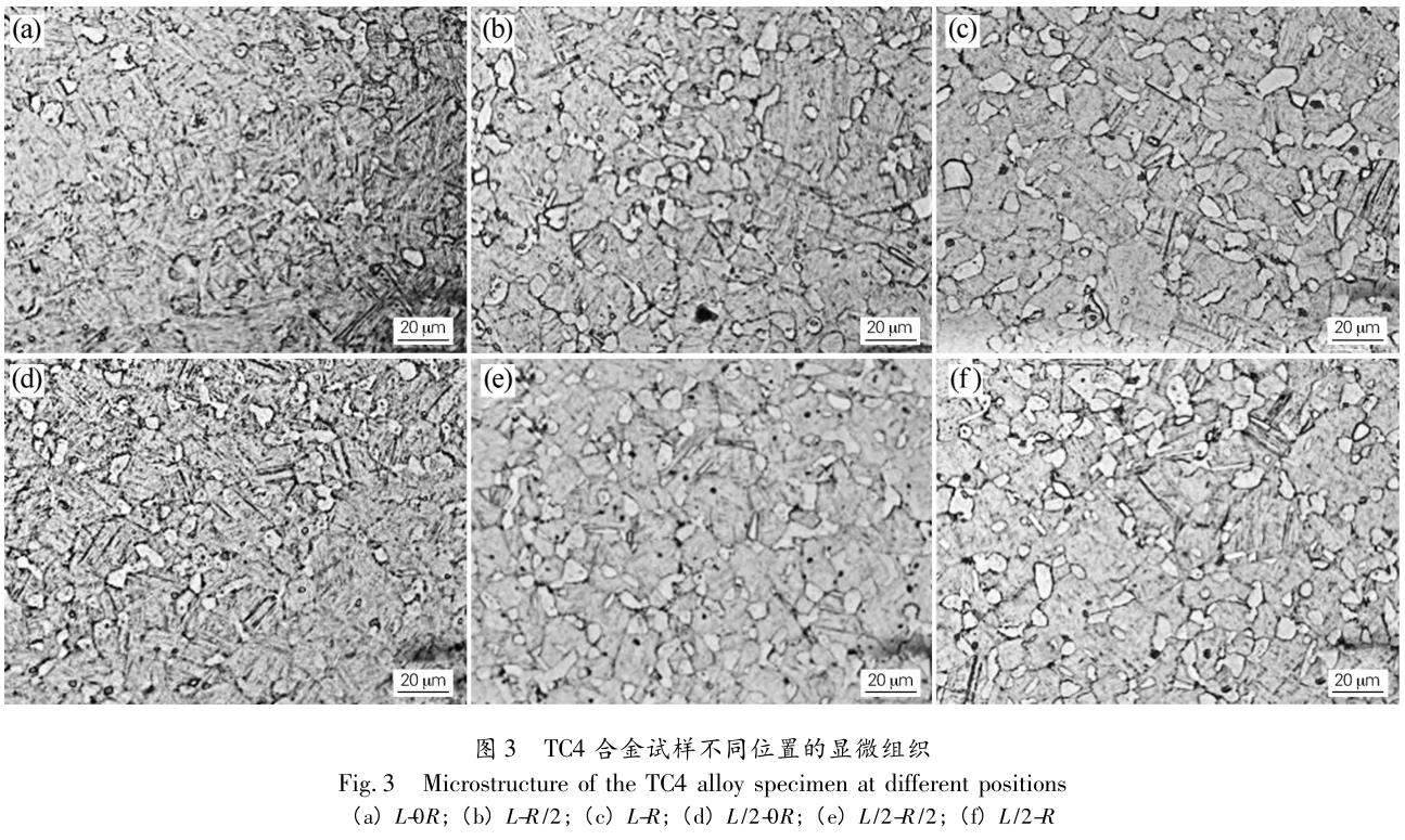 1706188858930347.jpg t3.jpg