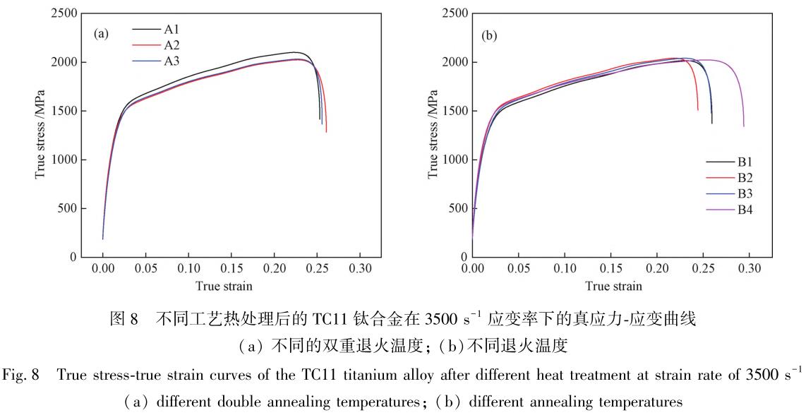 1708354430625909.jpg t8.jpg