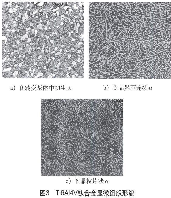 1721386288967489.jpg 360截圖16320212535789.jpg