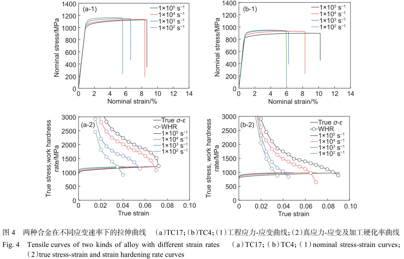 1699878495825432.jpg t4.jpg