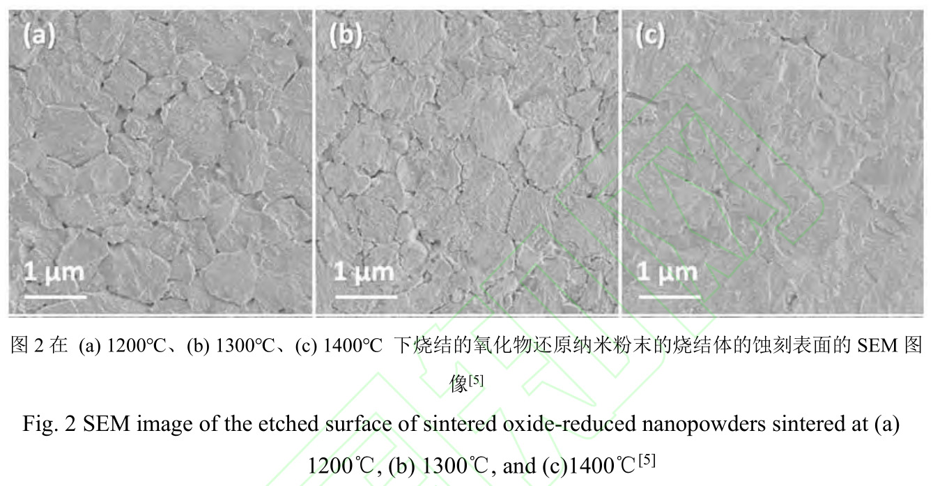 1728214100324137.jpg t2.jpg