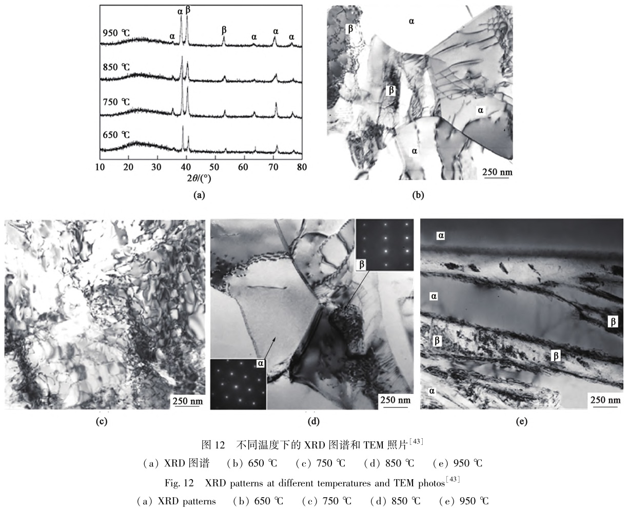 1729324399768487.jpg t12.jpg