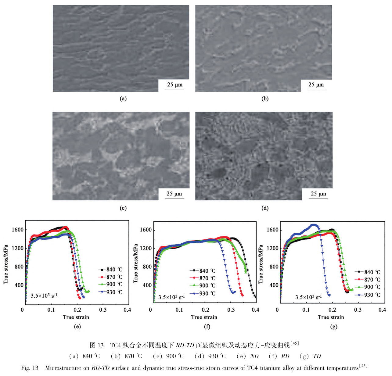 1729324420633873.jpg t13.jpg