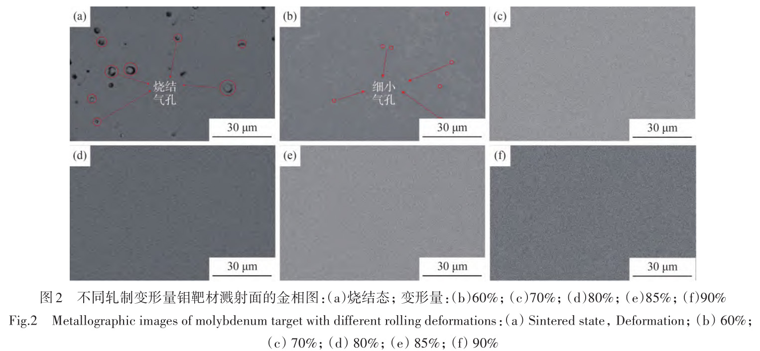 1729764514206575.jpg t2.jpg