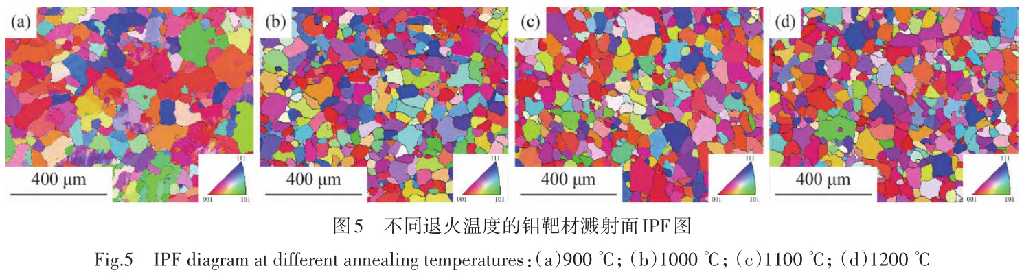 1729764554693814.jpg t5.jpg