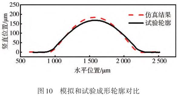 1729825312693674.jpg t10.jpg