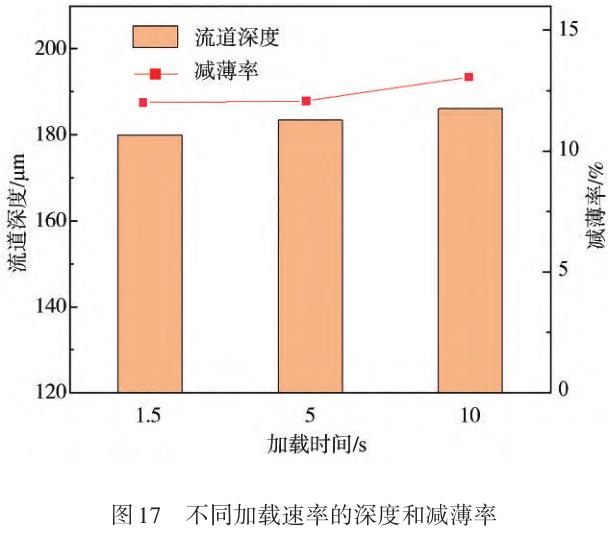 1729825363626529.jpg t17.jpg