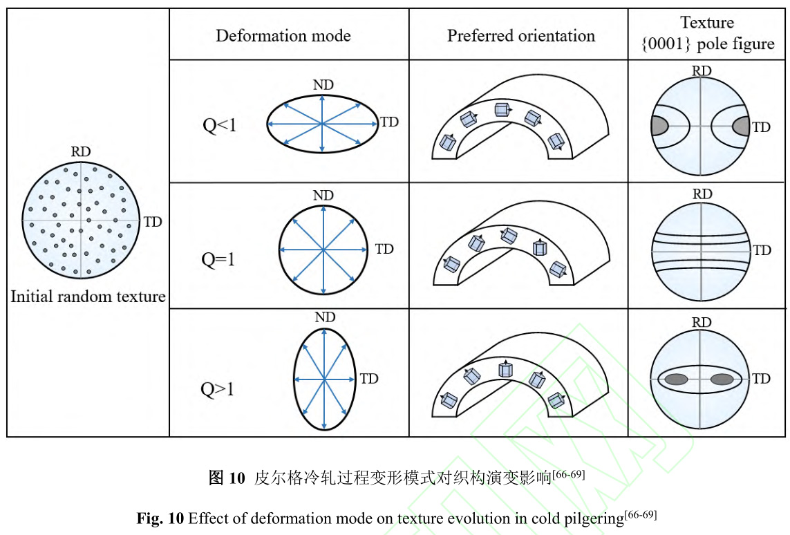 1729844250661349.jpg 10.jpg