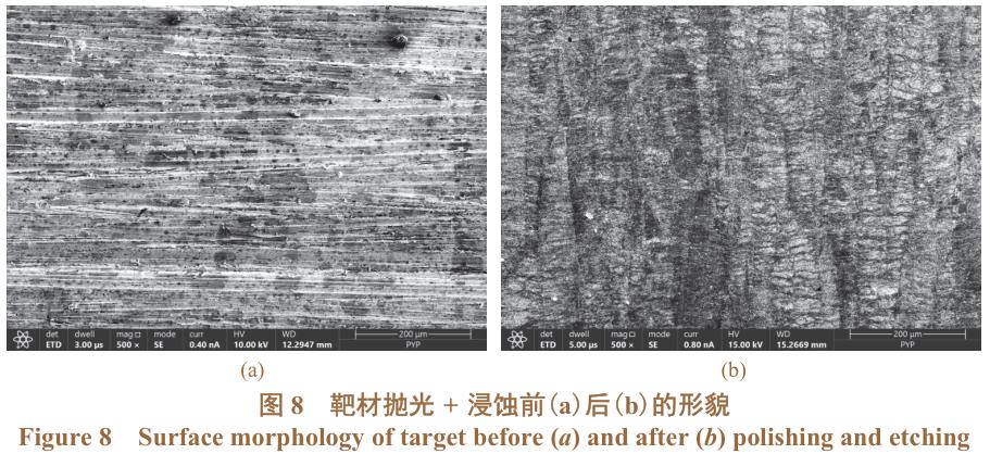 1730081011275124.jpg 8.jpg