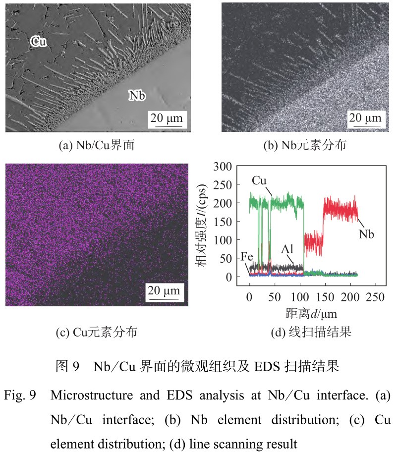 1735030059424898.jpg 9.jpg