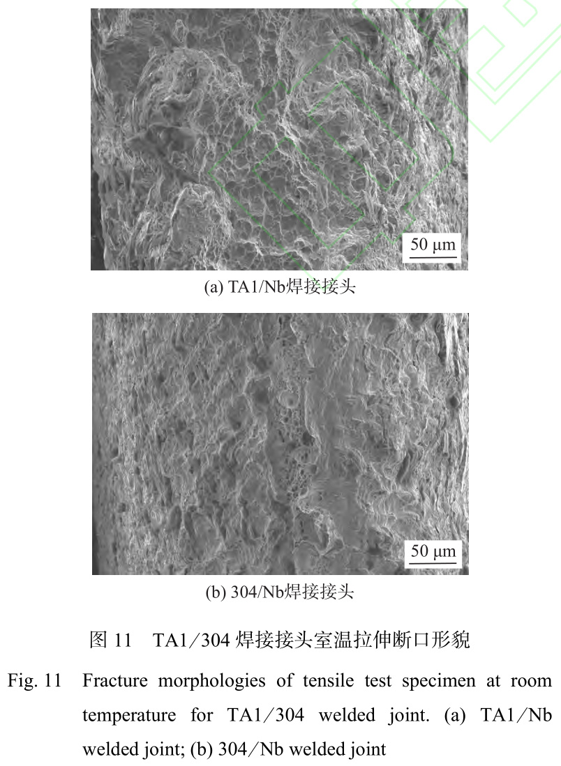 1735030076536208.jpg 11.jpg